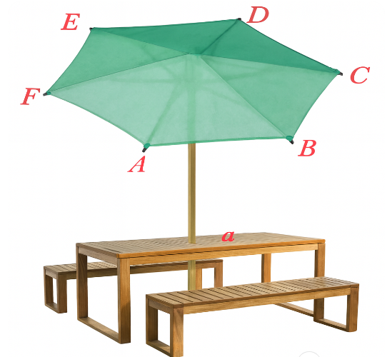 Hình minh họa câu hỏi